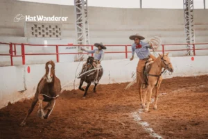 Display of Roping a horse